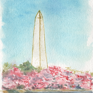 Washington DC Cherry Blossoms Hand-Painted Watercolor Postcard, Art