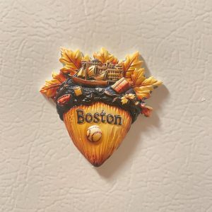 Boston Acorn Fridge Magnet 3D