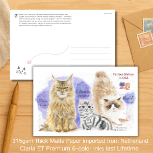 USA Native Cats Postcard Wall Art Watercolor Hand Painted